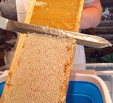 Load image into Gallery viewer, 44 test product
